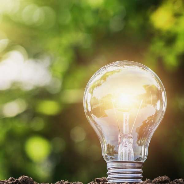 Switched on lightbulb in earth